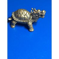 Драконовидная черепаха