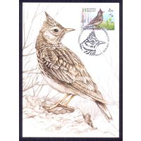 Беларусь 2017 Картмаксимум фауна птица