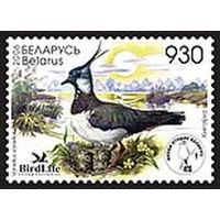 Марка "Птица года. Чибис"