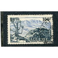 Французский Алжир. Ландшафт