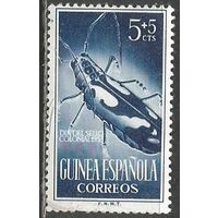 Испанская Гвинея. Жук-усач. 1953г. Mi#295.