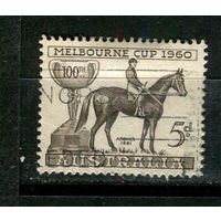Австралия - 1960 - Кубок Мельбурна. Скаковая лошадь - [Mi. 307] - полная серия - 1 марка. Гашеная.  (Лот 3JD)-TG2P1