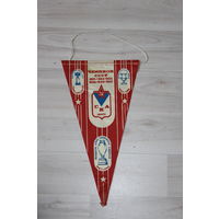 Вымпел, чемпион СССР, СКА Минск, 1987 - 1989, обладатель кубка европейских чемпионов.