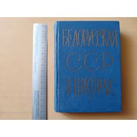Раритетный Краткий статистический сборник Белорусская ССР в цифрах, 1963 год (3630)