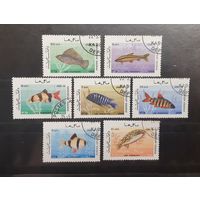 Афганистан. 1986 год. Фауна. Рыбы (2)