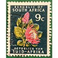ЮАР 1964. Цветок Промтеи