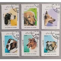 Собаки. Афганистан, 1986