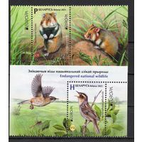 Беларусь 2021. Европа. Фауна 2марки+купоны (1135)