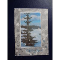 С Новым Годом!  1972 г.  Ель, дома.  подписанная.