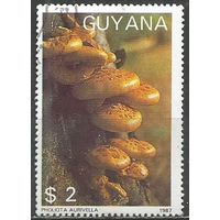 Гайана. Грибы. Чешуйчатка золотистая. 1988г. Mi#2090.