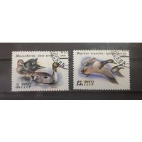СССР. 1991 год. Фауна. Птицы. Утки