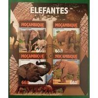 Мозамбик 2016. Фауна. Слоны