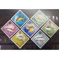 Монголия. 1975 год. Фауна. Рыбы (1266)