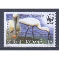 [338] Румыния 2006. Фауна.Птицы.Колпица. Гашеная марка. 1