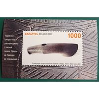 2003 Национальный музей истории и культуры Беларуси