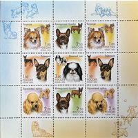 Россия, 2000, Фауна. Декоративные породы собак. М/лист **MNH