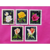 Венгрия. Розы. ( 5 марок ) 1982 года. 11-12.