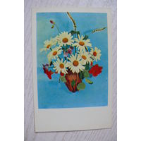 Костенко Г., Цветы, 1971, чистая (ромашки).