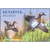 Беларусь 1996 фауна утки