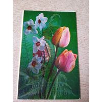 Костенко Г., С днем рождения! 1977, двойная