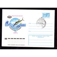 Художественный маркированный конверт СССР со спецгашением N 10495 (29.04.1975) Международная выставка "Инрыбпром"  75  Ленинград