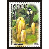 Марки "грибы Рогатик пестиковый", "грибы Головач гигантский", "грибы Ежовик коралловидный", "грибы Спарассис пластинчатый", "грибы Полипорус зонтичный"