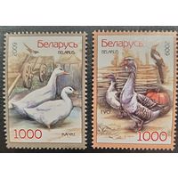 Беларусь 2009. Домашняя птица