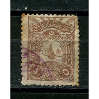 Османская Империя - 1905 - Тугра Абдул-Хамида II 5Pia - (есть помятость) - [Mi.120C] - 1 марка. Гашеная.  (Лот 17JD)-TG2P1