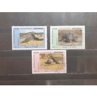 С 1 рубля! Лаос. 1996 год. Фауна. Рептилии. Черепахи (869)