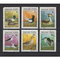 Фауна Птицы Венгрия 1980  Used