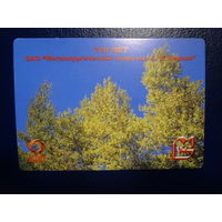 Календарик 2006 г.  110 лет.  Металлургический завод А.К.Серова.