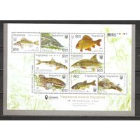 ФФ3 Украина 2019 Рыбы