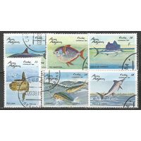 Куба. Морские рыбы. 1981г. Mi#2534-39. Серия.