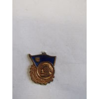 Знак. Значок. "За отличные знания теории Марксизма". FDJ комсомол. 4 выпуск 1963-1976. Бронзовая степень. Отличник учёбы. Германия. Ретро СССР. м
