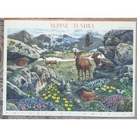 2007 Природа Америки(самоклеющиеся марки)-США