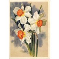 Чистая открытка СССР. Романов. 1963