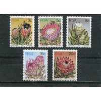 ЮАР. Флора. Цветы