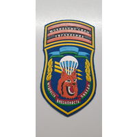 Шеврон управление мобильные силы Беларусь*