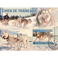 Того 2010. Ездовые собаки. Блок