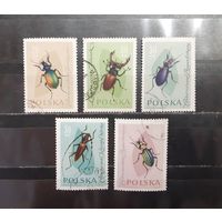 Польша. Фауна. Жуки (1274)
