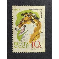1965 СССР. Охотничьи и служебные собаки