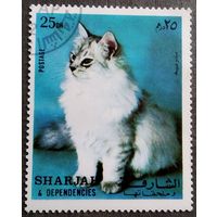 Марка Шарджа 1972 год Кошка