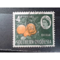 Южная Родезия, 1964. Королева Елизавета II и апельсины