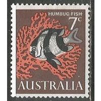 Австралия. Рыба. Зебровидный дасцилл. 1966г. Mi#364.