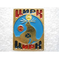 Цирк.