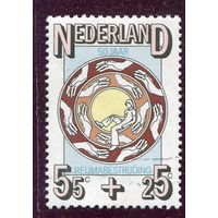 Нидерланды. 50 лет ассоциации по борьбе с ревматизмом