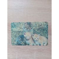 Календарик 1992