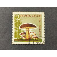 1964 СССР. Грибы