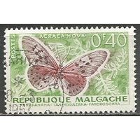 Республика Мадагаскар. Бабочка Акрея Гова. 1960г. Mi#446.