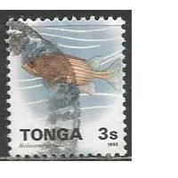 Тонга. Летучая рыба. 1993г. Mi#1273.